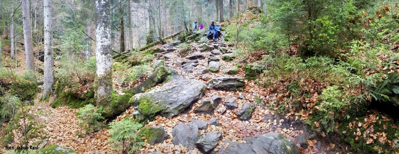 Pension Aspen Železná Ruda Buitenkant foto