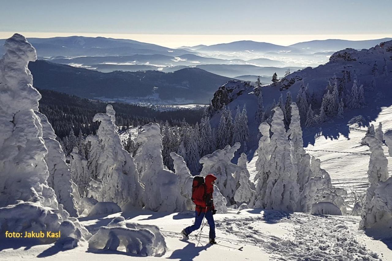 Pension Aspen Železná Ruda Buitenkant foto