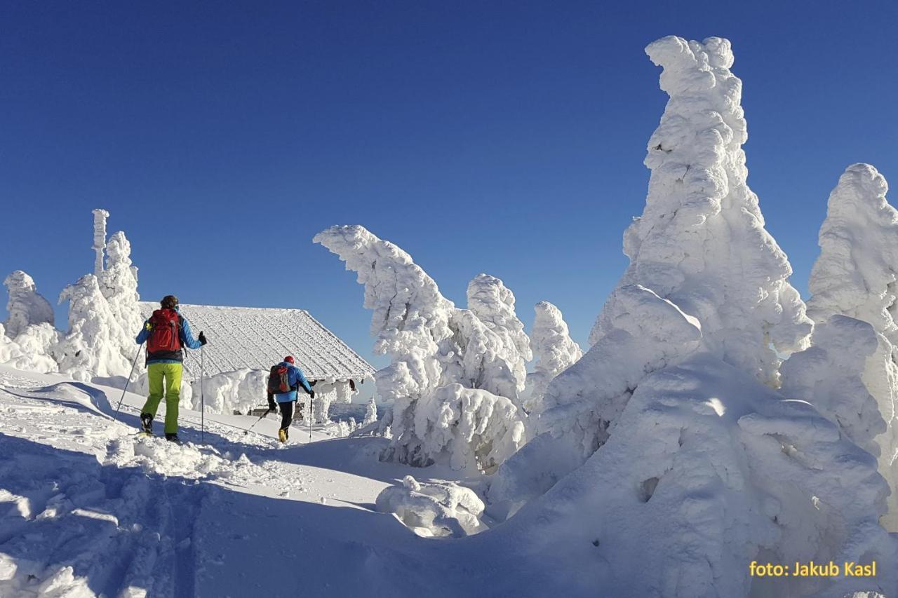 Pension Aspen Železná Ruda Buitenkant foto