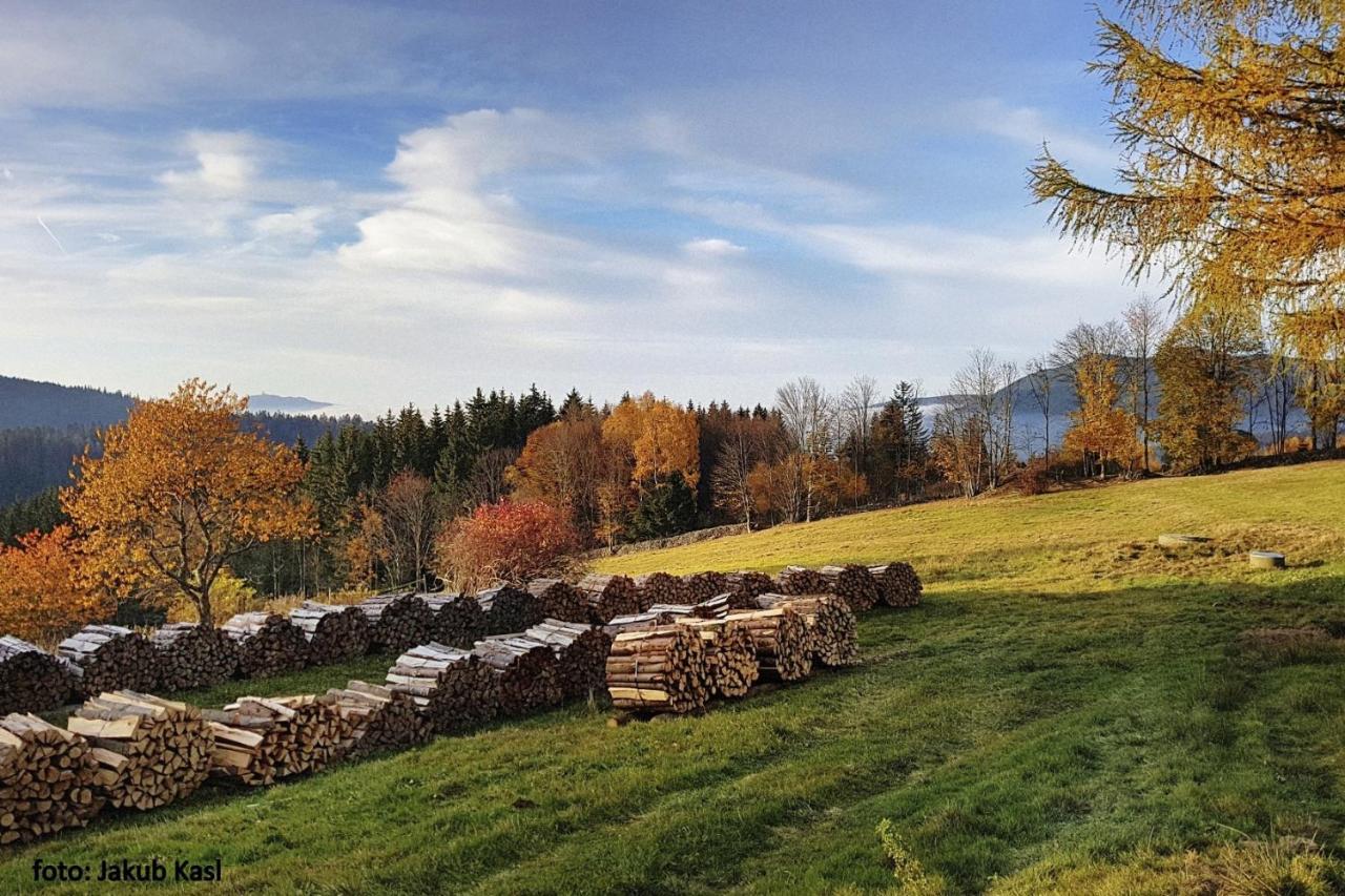 Pension Aspen Železná Ruda Buitenkant foto