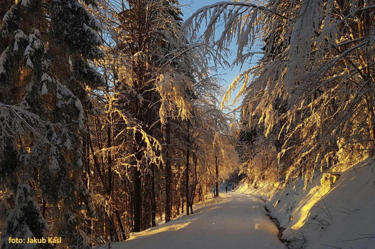 Pension Aspen Železná Ruda Buitenkant foto