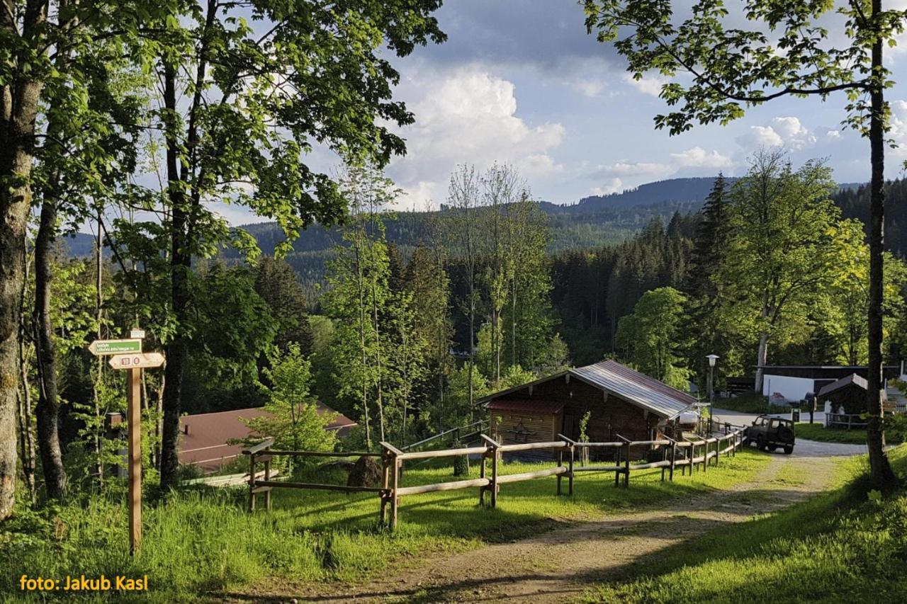 Pension Aspen Železná Ruda Buitenkant foto