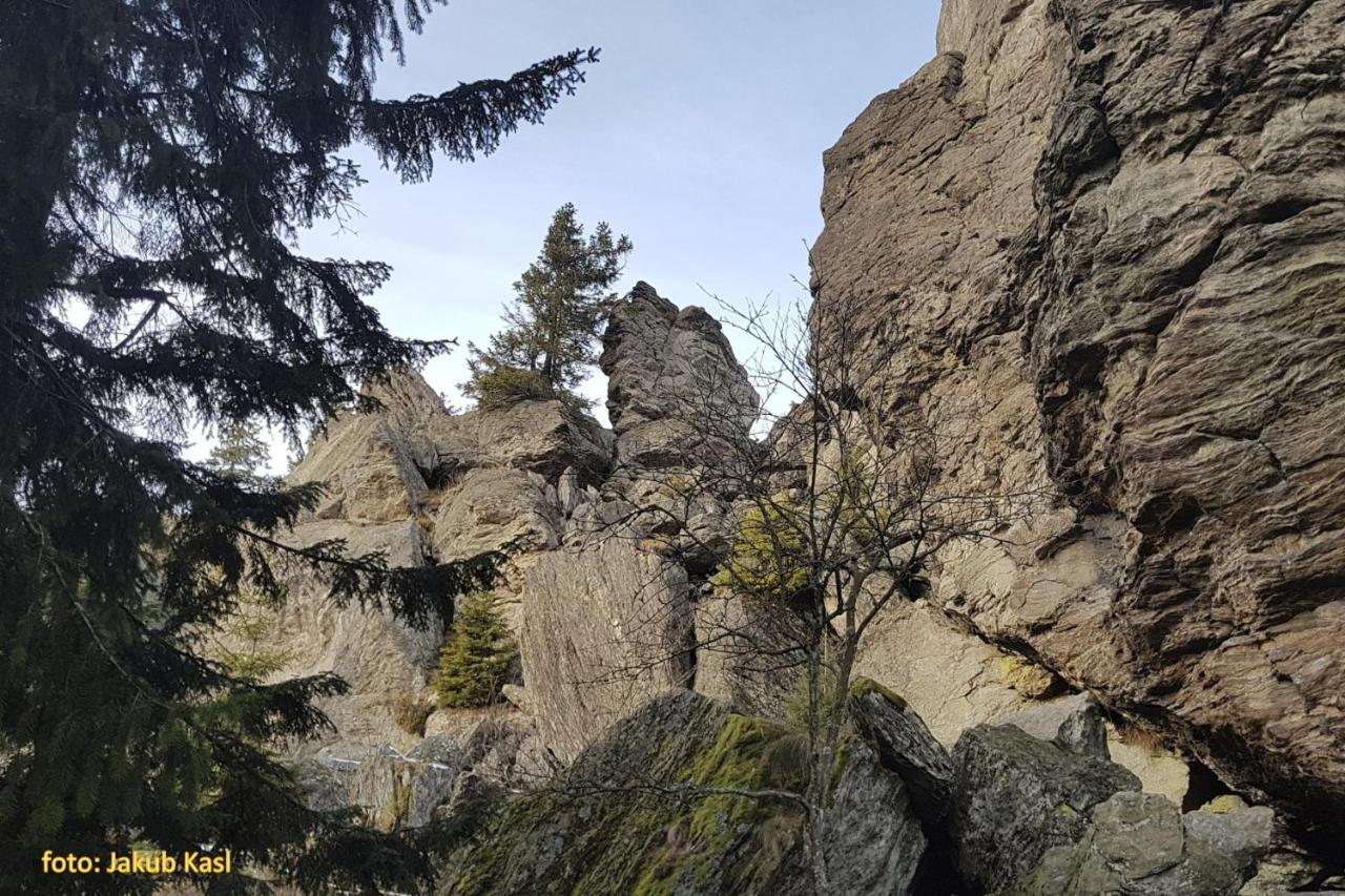 Pension Aspen Železná Ruda Buitenkant foto