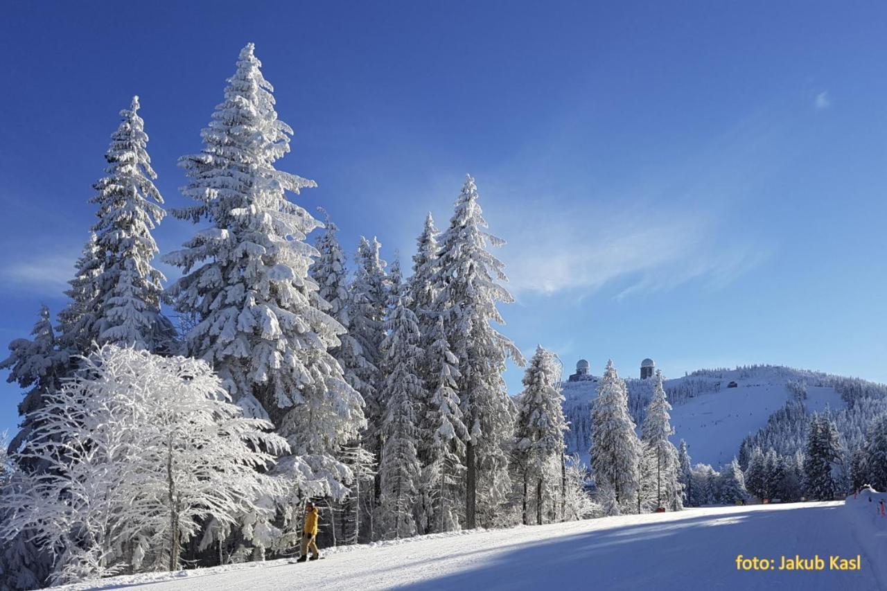 Pension Aspen Železná Ruda Buitenkant foto